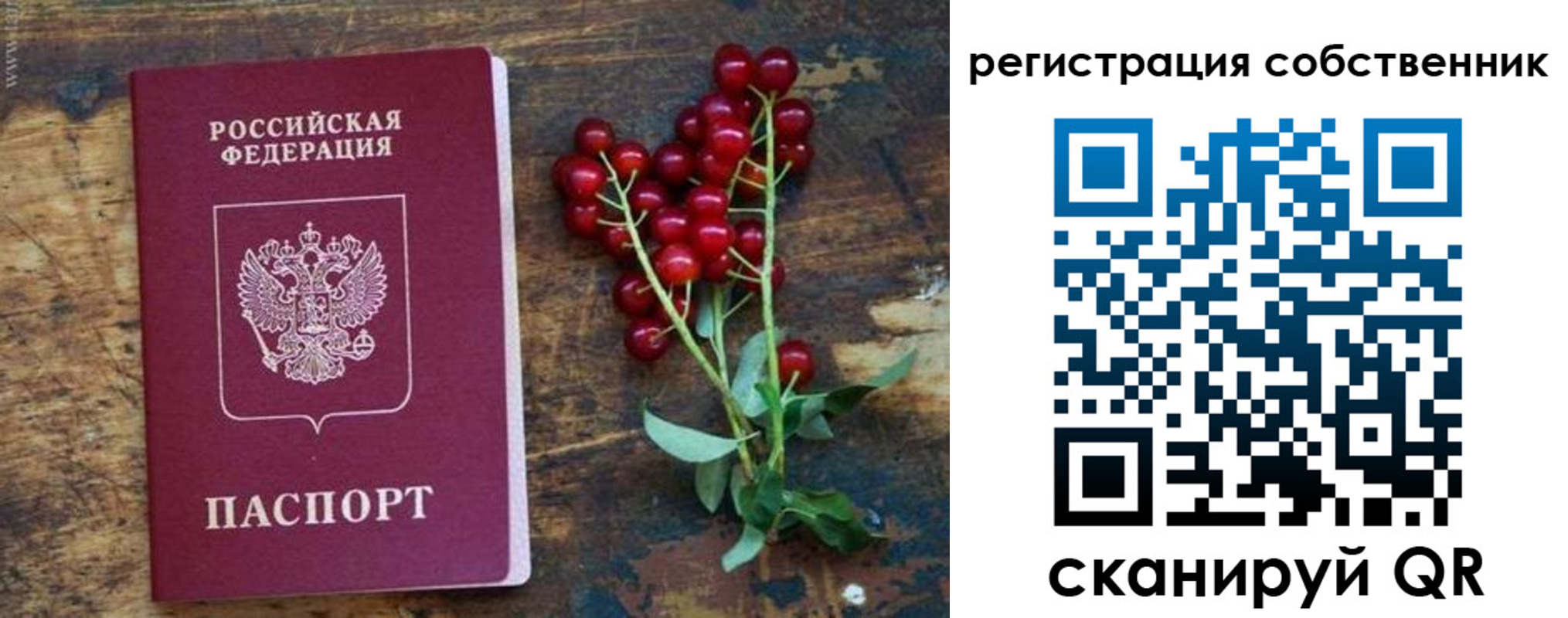 регистрация для дет. сада в Армянске